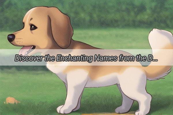 Discover the Enchanting Names from the Dog Masters Guide 101 Divine Monikers for Your Female Furry Friend